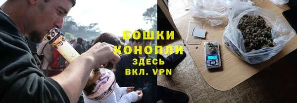 мдпв Ельня