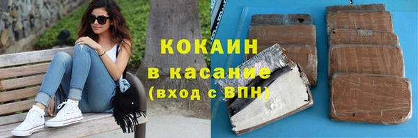 мдпв Ельня