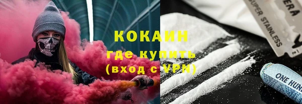мдпв Ельня