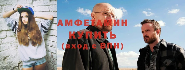 мдпв Ельня