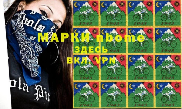 мдпв Ельня