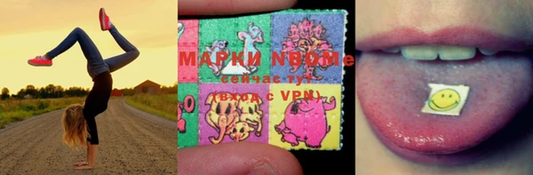 мдпв Ельня