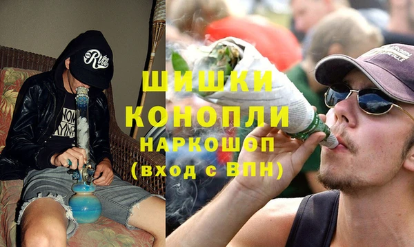 мдпв Ельня