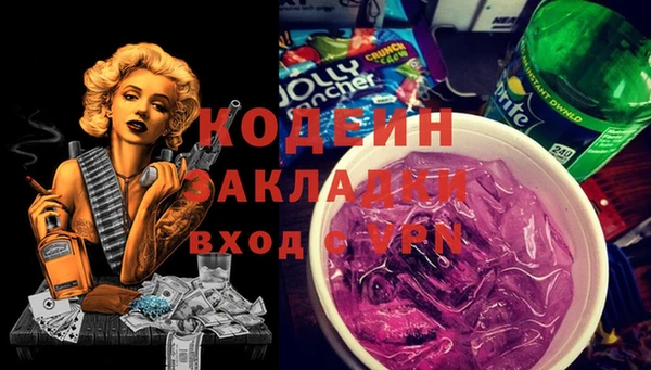 мдпв Ельня