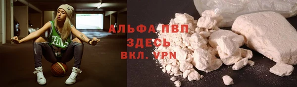 мдпв Ельня