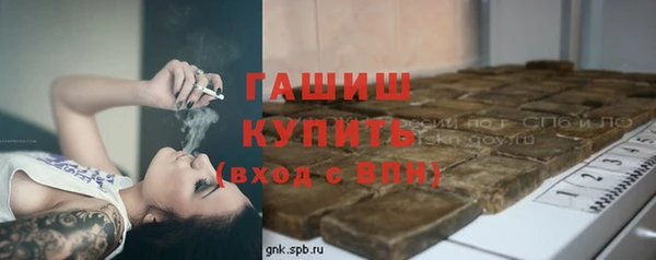 мдпв Ельня