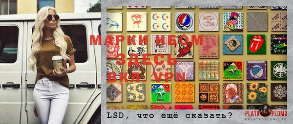 мдпв Ельня