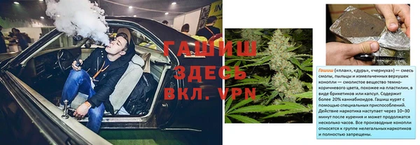 мдпв Ельня