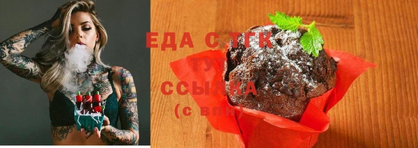мдпв Ельня