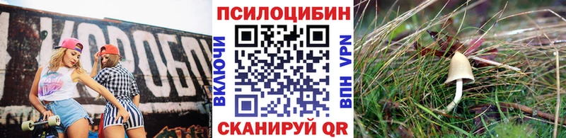 Галлюциногенные грибы Cubensis  Купить где  Муром 